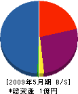 湯川土建 貸借対照表 2009年5月期