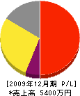 矢野商店 損益計算書 2009年12月期