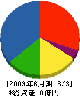 福東 貸借対照表 2009年6月期