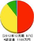 寺島電気工事 貸借対照表 2012年12月期