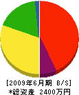 花井組 貸借対照表 2009年6月期