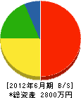 新井水道 貸借対照表 2012年6月期
