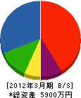 橋本園芸 貸借対照表 2012年3月期
