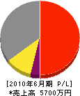 徳田塗装工業 損益計算書 2010年6月期