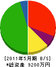 平山電機 貸借対照表 2011年5月期