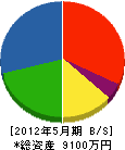 坂眞工業 貸借対照表 2012年5月期