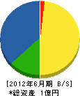 井上硝子 貸借対照表 2012年6月期