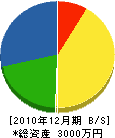 山崎電工 貸借対照表 2010年12月期