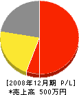 佐々木塗装 損益計算書 2008年12月期