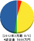 井電 貸借対照表 2012年3月期