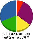 竹内建築工業 貸借対照表 2010年1月期