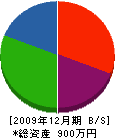 嶋田庭樹園 貸借対照表 2009年12月期