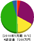雄昭建設 貸借対照表 2010年5月期