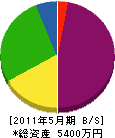 橋本建設 貸借対照表 2011年5月期