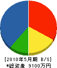 倉島組 貸借対照表 2010年5月期