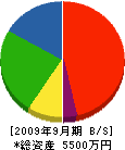 飯村建工 貸借対照表 2009年9月期