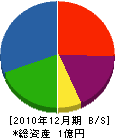 大嶋組 貸借対照表 2010年12月期