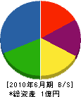 金子産商湘南 貸借対照表 2010年6月期