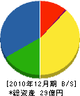 寺田製作所 貸借対照表 2010年12月期