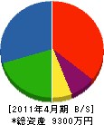 成川板金工業所 貸借対照表 2011年4月期