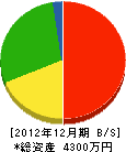 木曽川組 貸借対照表 2012年12月期