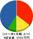 八田工作所 貸借対照表 2011年6月期