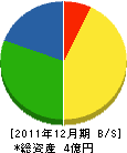 篠村建設 貸借対照表 2011年12月期