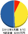 東亜海事土木 貸借対照表 2012年6月期