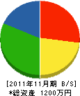 小島建設 貸借対照表 2011年11月期