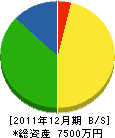 平澤組 貸借対照表 2011年12月期 平澤組 貸借対照表 2011年12月期