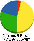 東洋興産 貸借対照表 2011年5月期