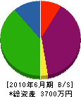 横山造園 貸借対照表 2010年6月期