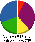 菅沼電気商会 貸借対照表 2011年5月期
