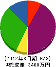 福世電気 貸借対照表 2012年3月期