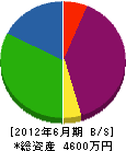 ヤマサ佐々木産業 貸借対照表 2012年6月期