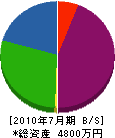 岩田組 貸借対照表 2010年7月期