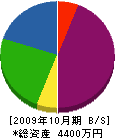 石河 貸借対照表 2009年10月期