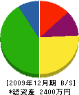 桐谷建設 貸借対照表 2009年12月期