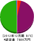 大阪宣広社 貸借対照表 2012年12月期