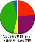 田＊興業 貸借対照表 2008年9月期