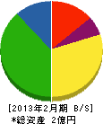 湧泉工業 貸借対照表 2013年2月期