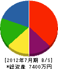 藤原商会 貸借対照表 2012年7月期