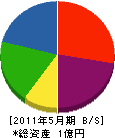 田中産業 貸借対照表 2011年5月期