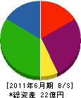 沖縄ピーシー 貸借対照表 2011年6月期