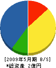 山賢組 貸借対照表 2009年5月期