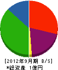 坂本砿業所 貸借対照表 2012年9月期