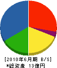 成島建設 貸借対照表 2010年6月期
