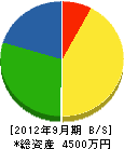 石川電気工業所 貸借対照表 2012年9月期