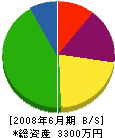 大翔興業 貸借対照表 2008年6月期