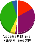 文化塗装工業 貸借対照表 2008年7月期